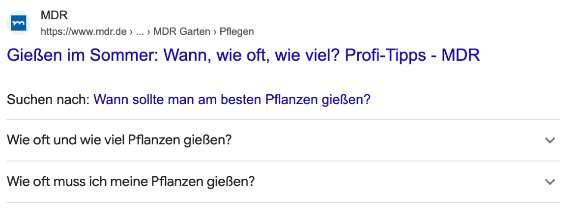 Ähnliche Fragen in der SERP