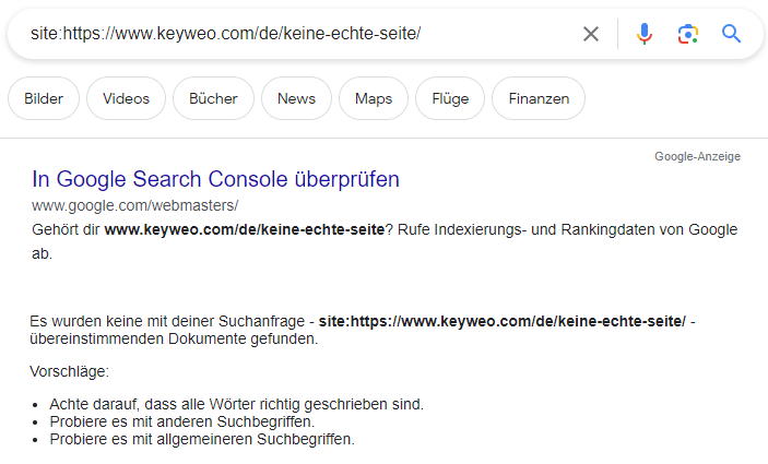 Erfolglose Indexierung an einem fiktiven URL Beispiel